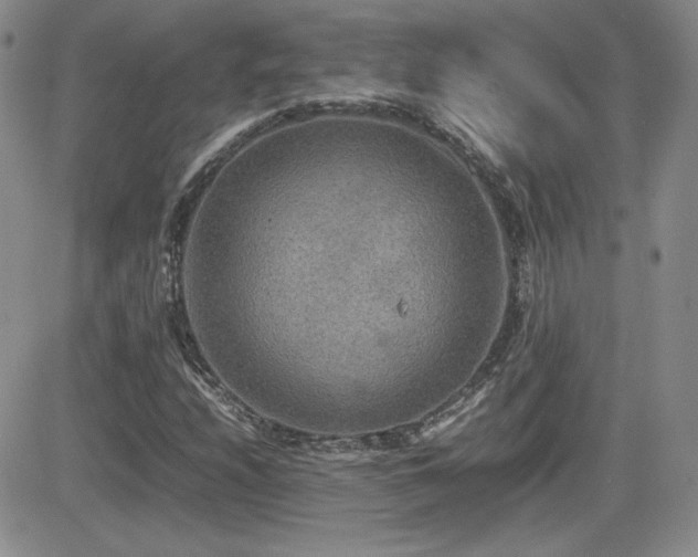 X0000081631208200701151416