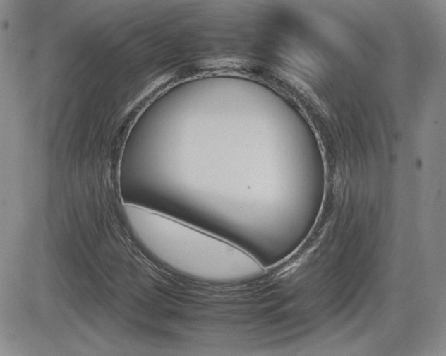 X0000081631209200701151416