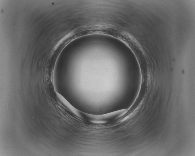 X0000081631210200701151416