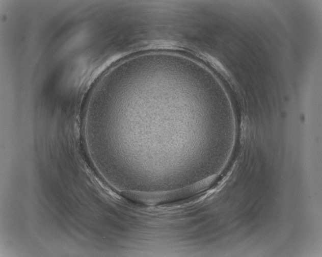 X0000081631212200701151416
