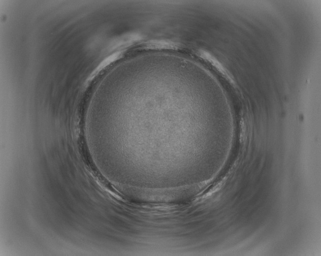 X0000081631213200701151416
