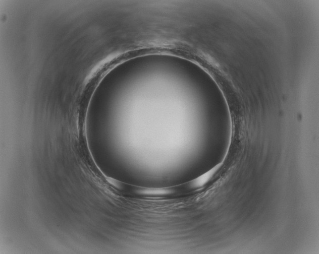 X0000081631214200701151416