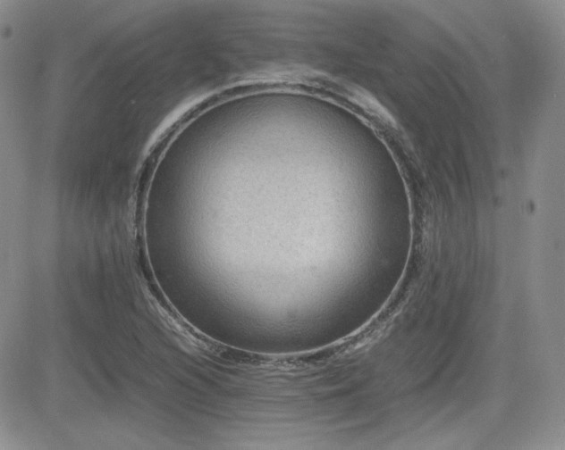 X0000081631216200701151416