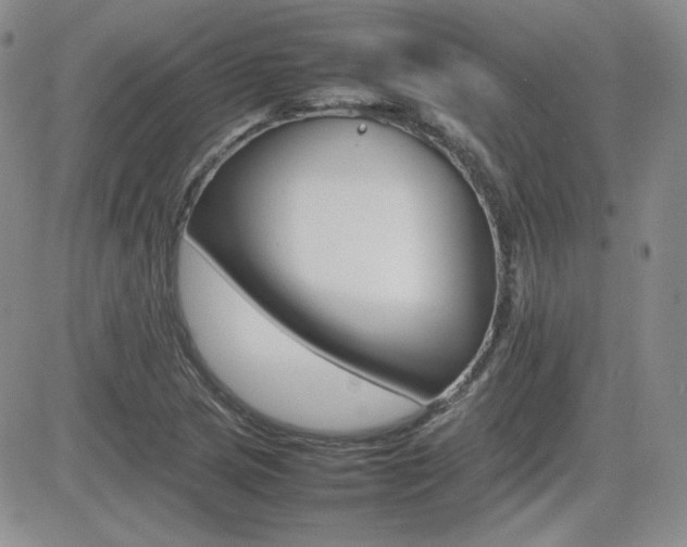 X0000081631217200701151416
