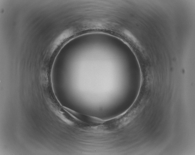 X0000081631218200701151416