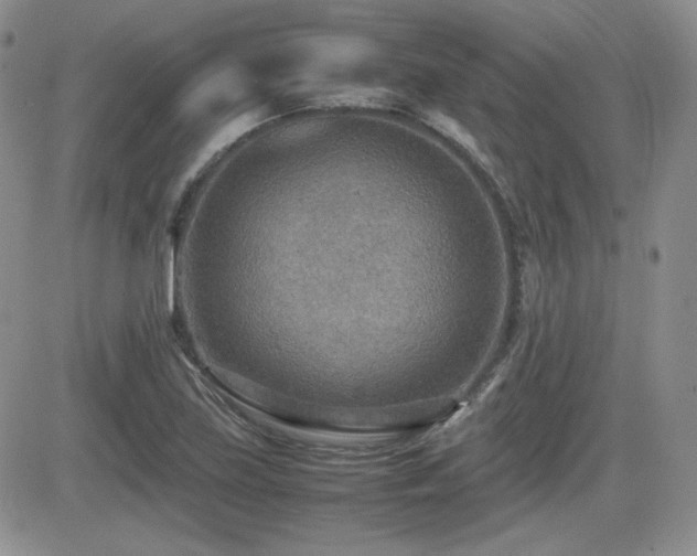 X0000081631219200701151416