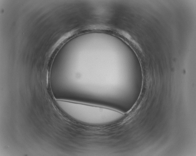 X0000081631221200701151417