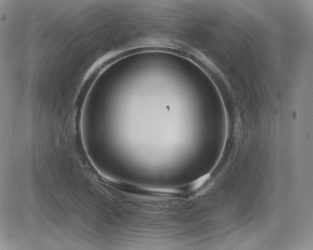 X0000081631222200701151417