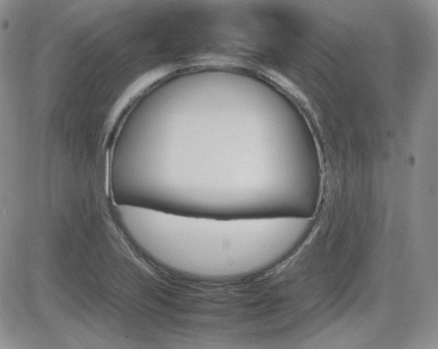 X0000081631223200701151417