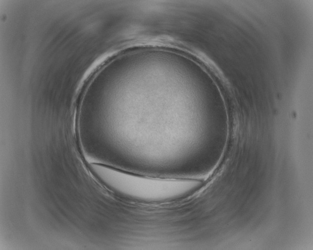 X0000081631224200701151417