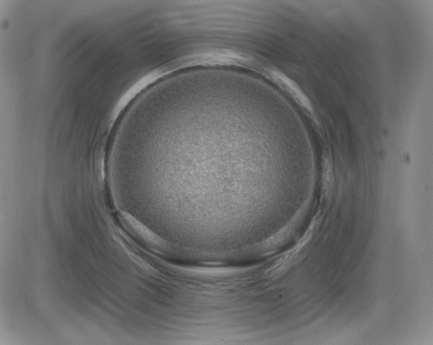 X0000081631226200701151417