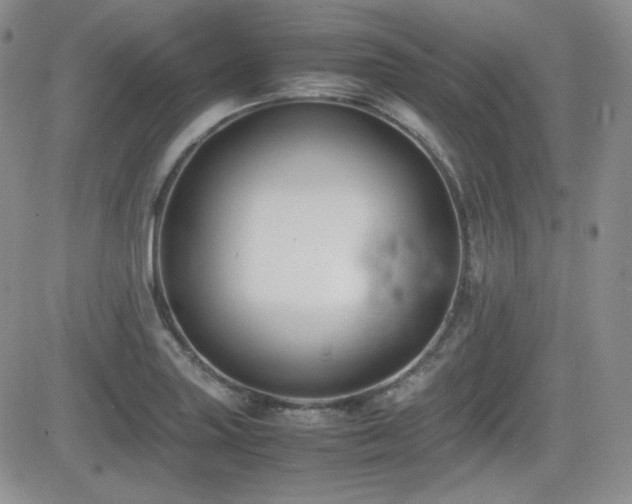 X0000081631227200701151417