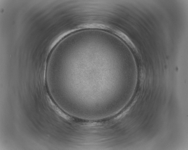X0000081631228200701151417
