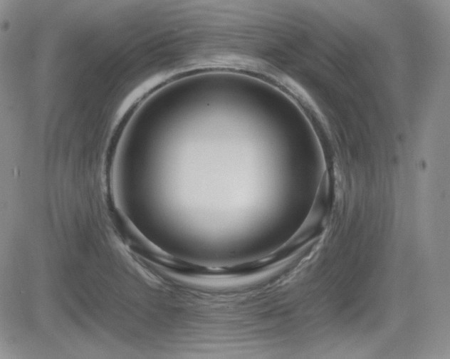 X0000081631230200701151417