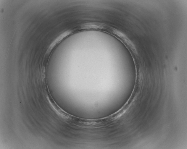 X0000081631233200701151417