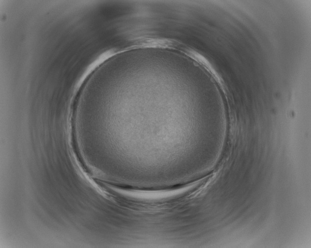 X0000081631235200701151417