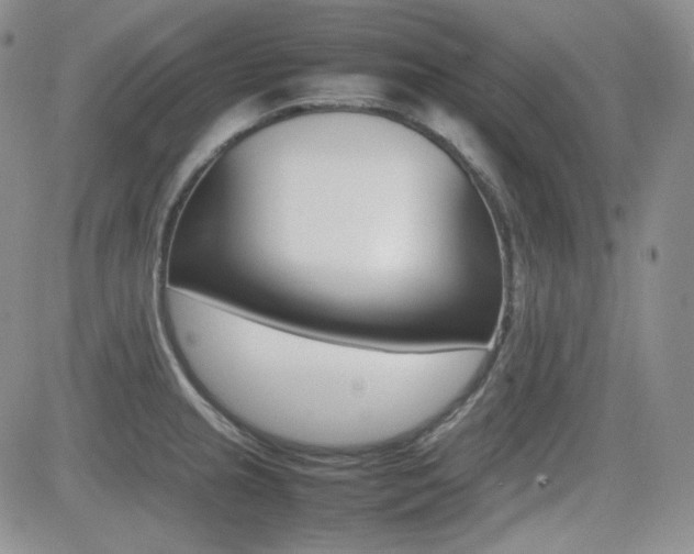 X0000081631237200701151417