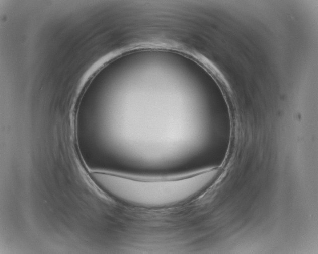 X0000081631238200701151417