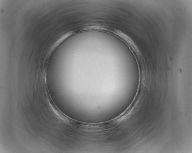X0000081631241200701151417