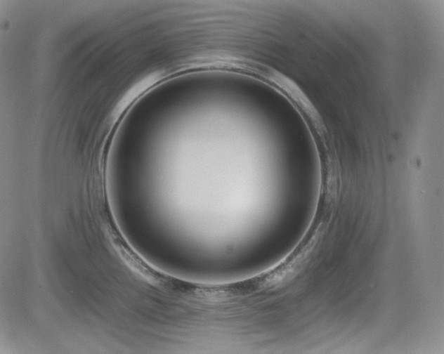 X0000081631242200701151417