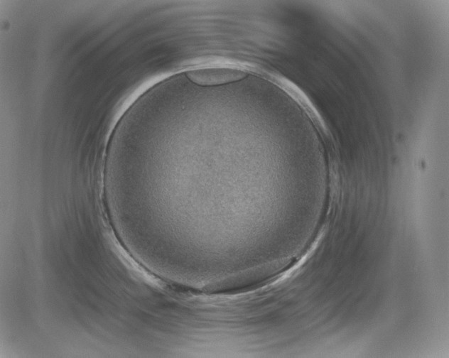 X0000081631244200701151417
