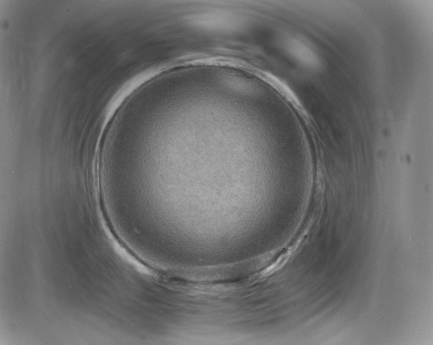 X0000081631247200701151417