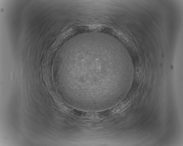 X0000081631249200701151416