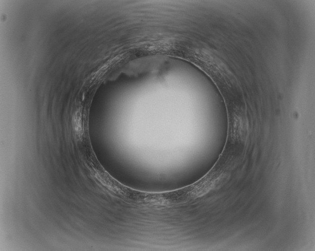 X0000081631250200701151416