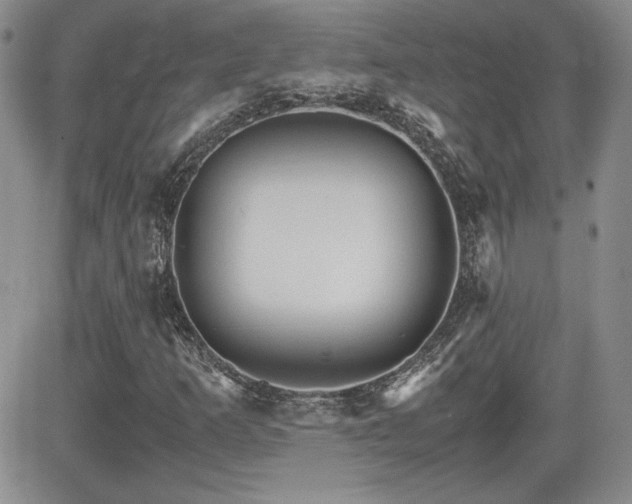 X0000081631253200701151416