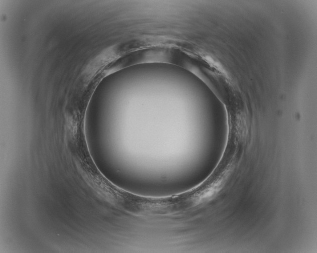 X0000081631257200701151416