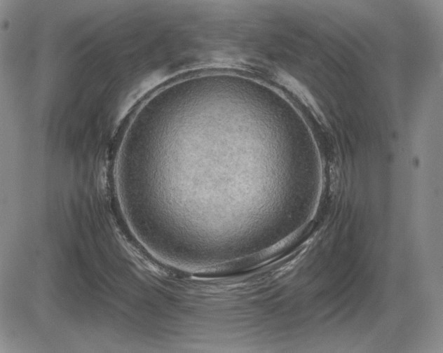 X0000081631260200701151416
