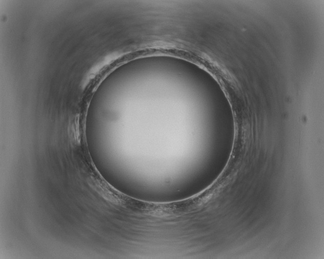 X0000081631262200701151416