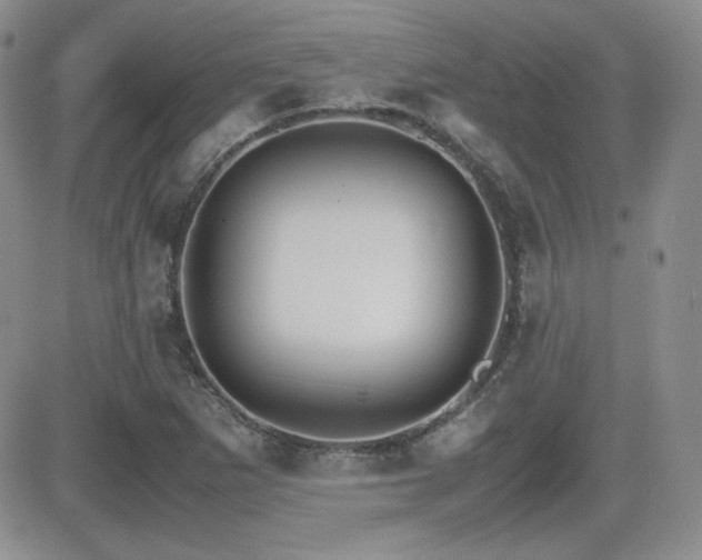 X0000081631265200701151416