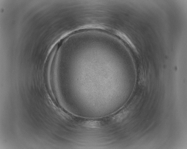 X0000081631268200701151416