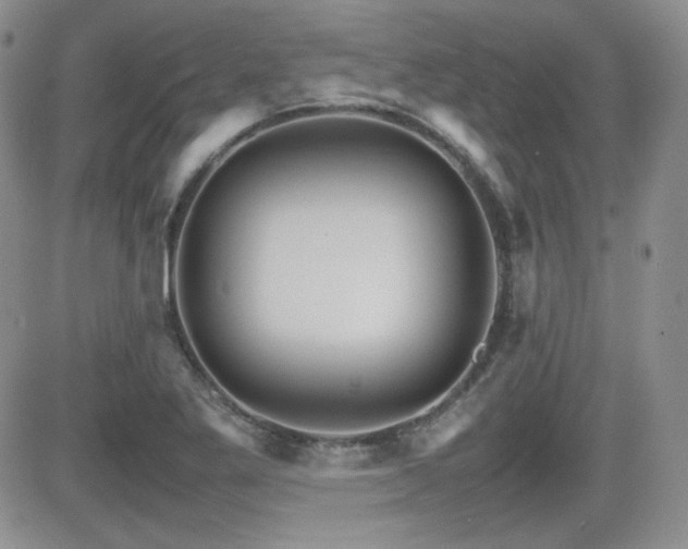 X0000081631269200701151416