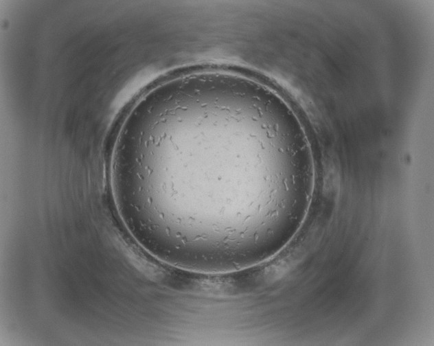X0000081631271200701151416