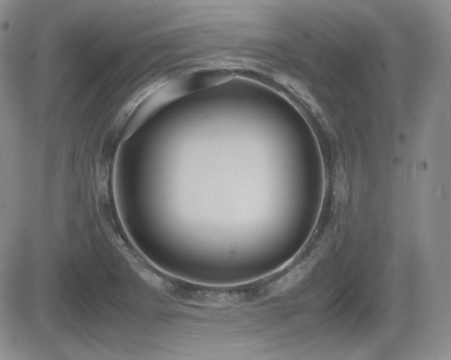X0000081631273200701151416