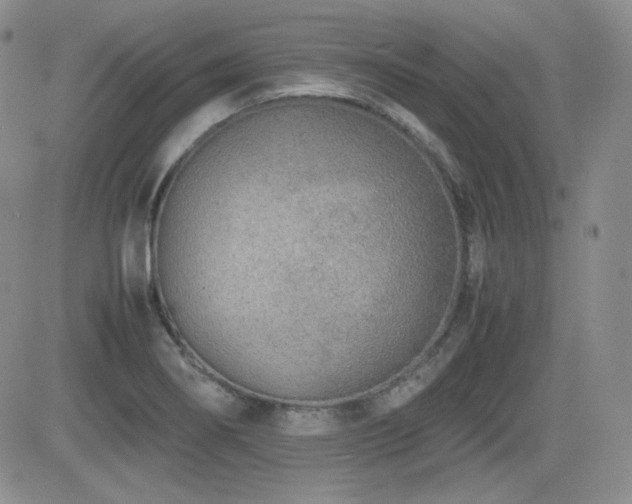 X0000081631274200701151416