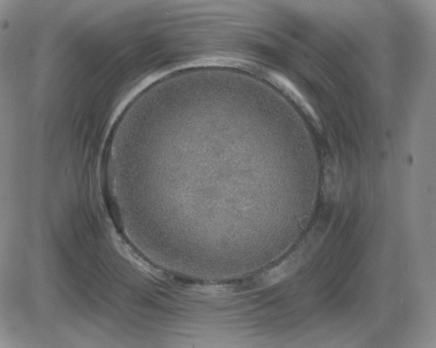 X0000081631276200701151416