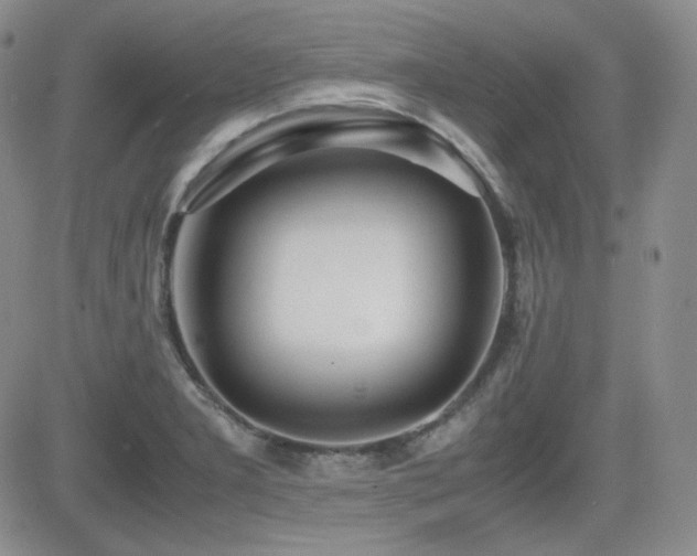 X0000081631277200701151416