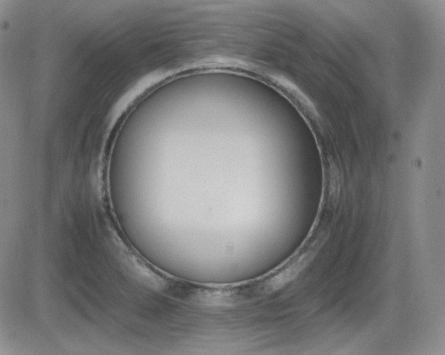 X0000081631278200701151416