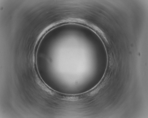 X0000081631280200701151416