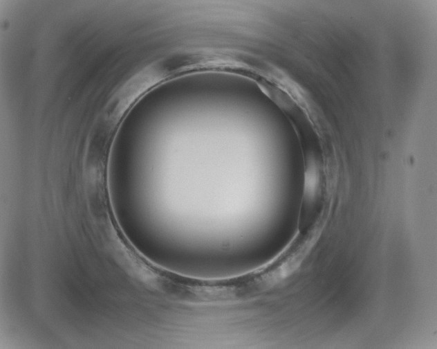 X0000081631281200701151416