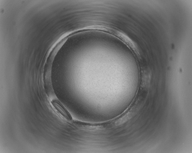 X0000081631284200701151416