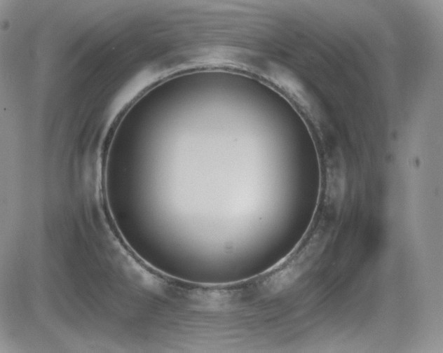 X0000081631286200701151416