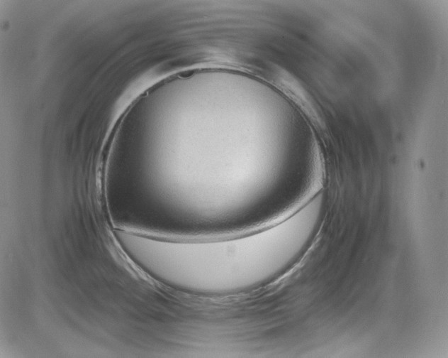 X0000081631292200701151415