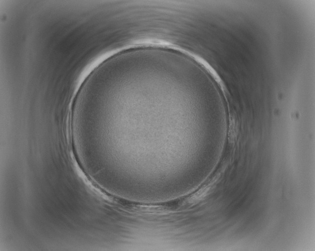 X0000081631295200701151415
