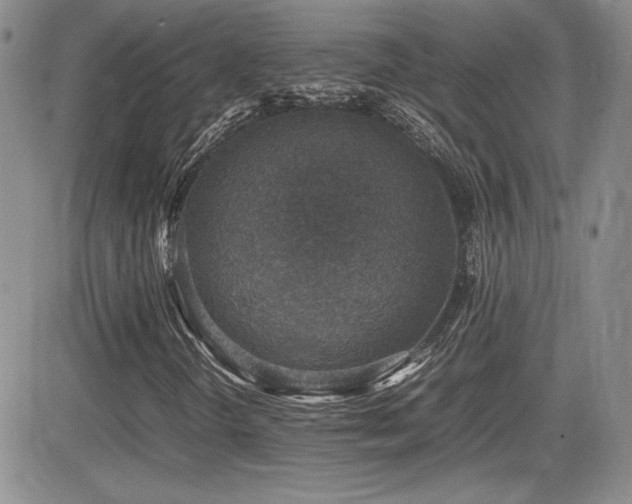 X0000081631298200701151415