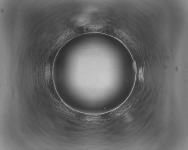 X0000081631299200701151415