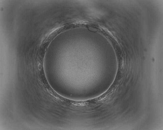 X0000081631303200701151415